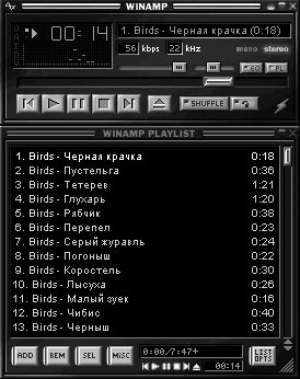 Рис. 4.7. Стандартный вид (скин) Winamp с окнами плеера и списком проигрываемых файлов