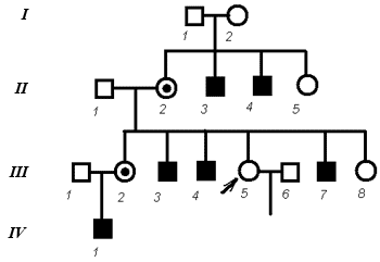 Рис. 7.8. Родословная для определения характера наследования признака и определения вероятности рождения больного ребенка у пробанда