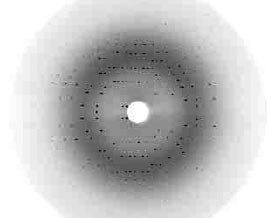 Рис. 3. В дифракционной картине заключена вся информация о структуре белка