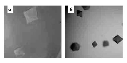 Рис. 4. Кристаллы белков: а – кристаллы зеленого флуоресцентного белка zGFP506; б – кристаллы мутанта белка zGFP506 с аминокислотной заменой N66D