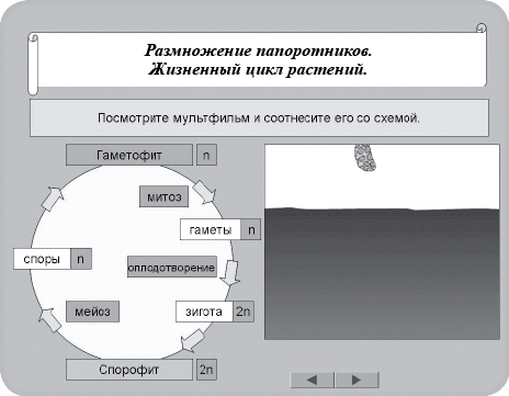 Соотнесите вопросы по схеме рост. Соотнесите вопросы по схеме рост с каждой из стадий рост.