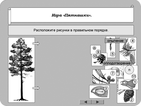 Тест по биологии размножение