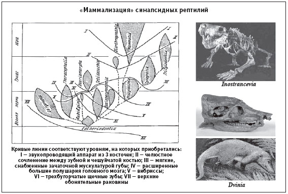 Параллельная эволюция